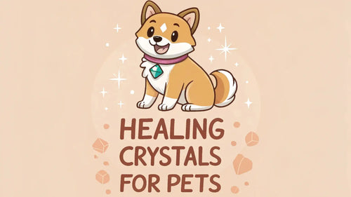 Cute cartoon Shiba Inu puppy wearing a crystal necklace with sparkles around it.