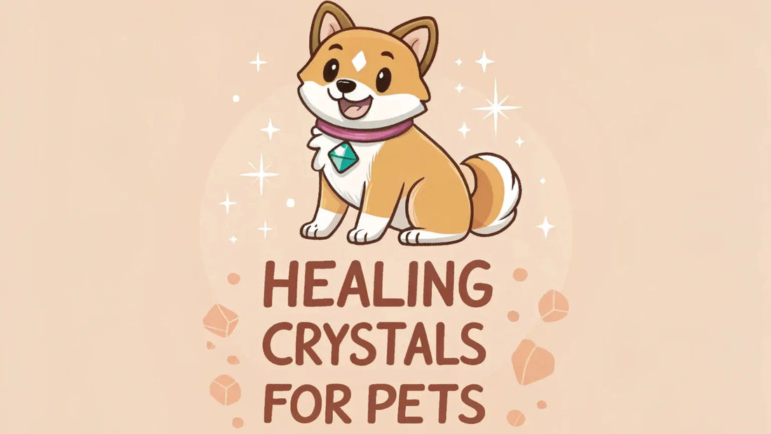 Cute cartoon Shiba Inu puppy wearing a crystal necklace with sparkles around it.