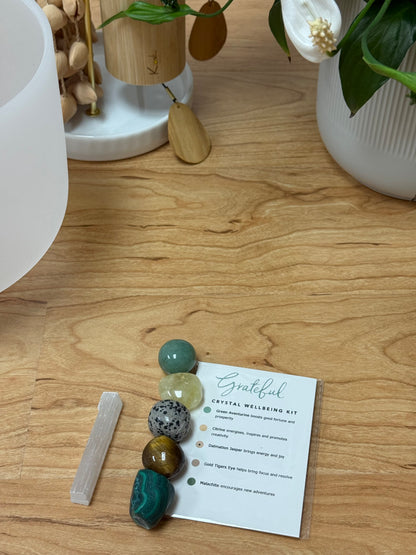 Grateful Crystal Kit | Positivity, Prosperity & Manifestation | Aventurine, Citrine, Jasper, Tiger’s Eye, Malachite, Selenite