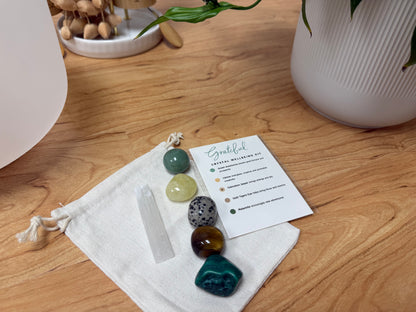 Grateful Crystal Kit | Positivity, Prosperity & Manifestation | Aventurine, Citrine, Jasper, Tiger’s Eye, Malachite, Selenite