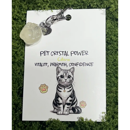 Crystal Paw Charms: Healing Energy for Your Beloved Cat - Citrine - Multiple