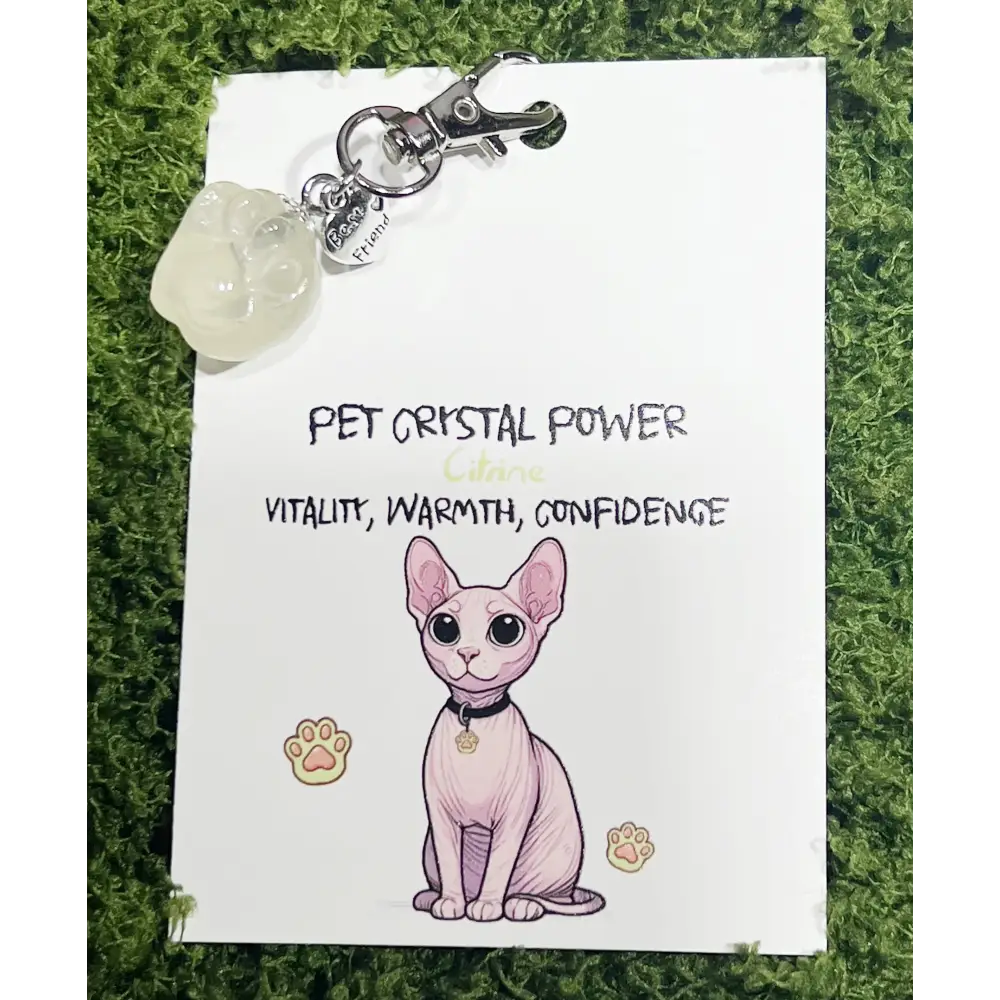 Crystal Paw Charms: Healing Energy for Your Beloved Cat - Multiple