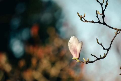 Connecting Through Morning Meditation and Universal Energy